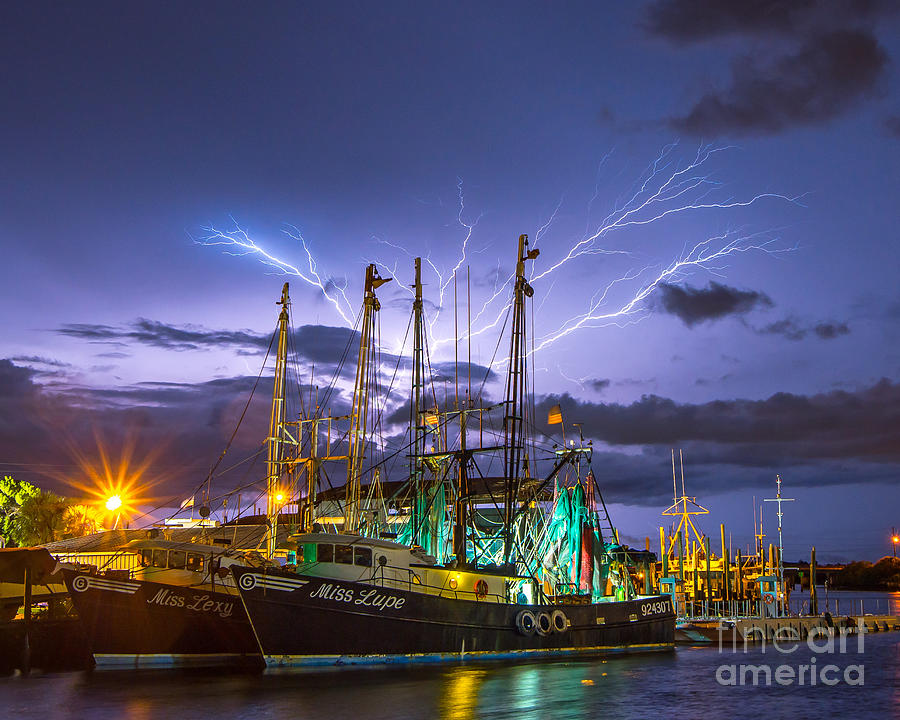 Boat Photograph - Masts Alive by Stephen Whalen