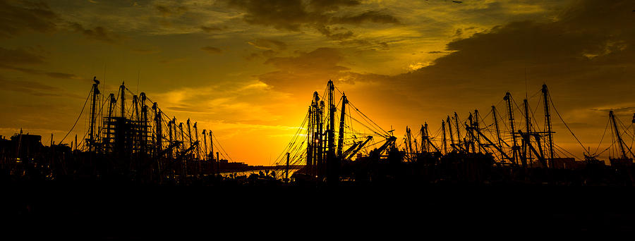Sunset Photograph - Masts at Sunset II by Robert Bascelli