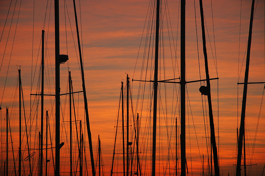 Masts At Sunset Photograph by Robert Woodward