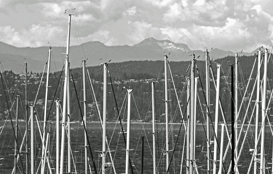 Masts BW Photograph by Laurie Tsemak
