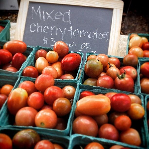 Maters #pictapgo_app Photograph by Diana Daley