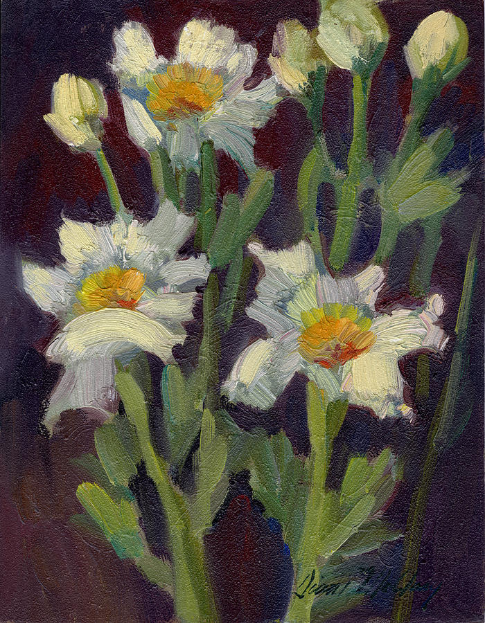 Matilija Poppies Painting by Diane McClary