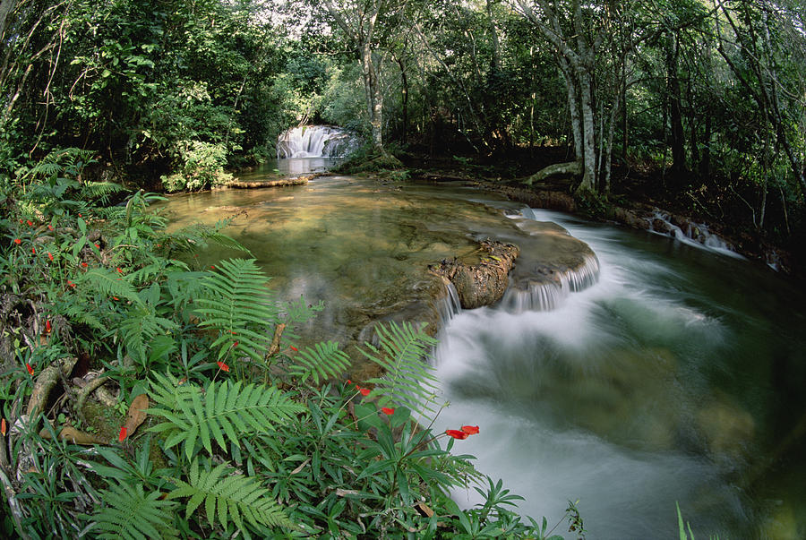 Mato Grosso Springs And Waterfalls Photograph by Tui De Roy