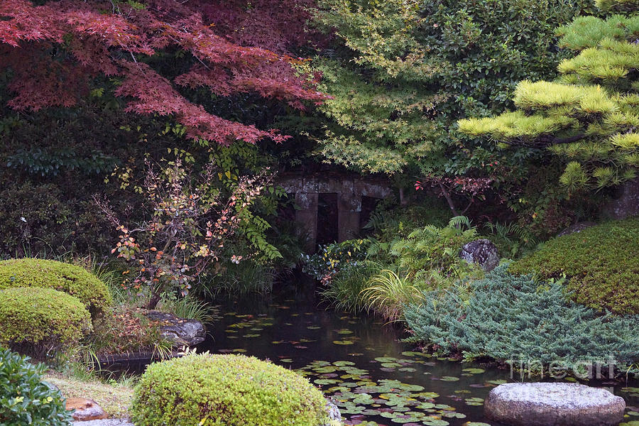 Matsue Garden Photograph by Cassandra Buckley