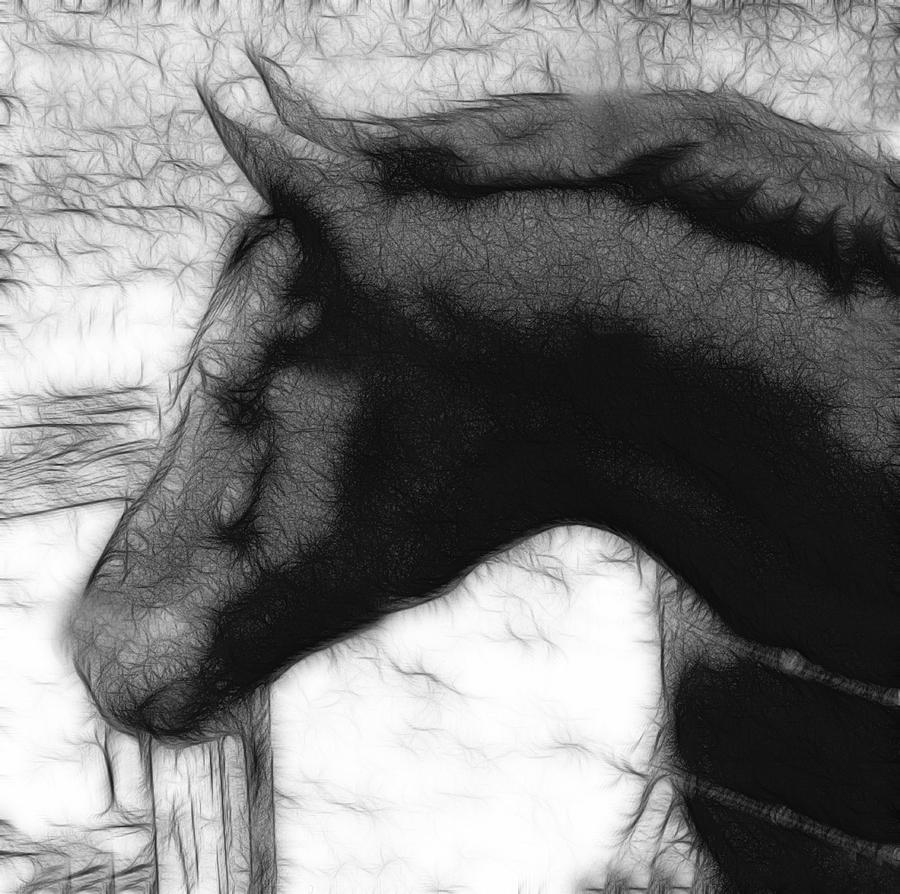 Matt Horse Abstract-BW Photograph by Lesa Fine