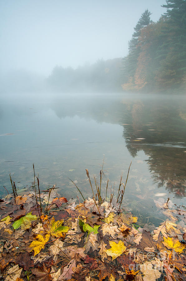 Mattatuck Mist Photograph by JG Coleman