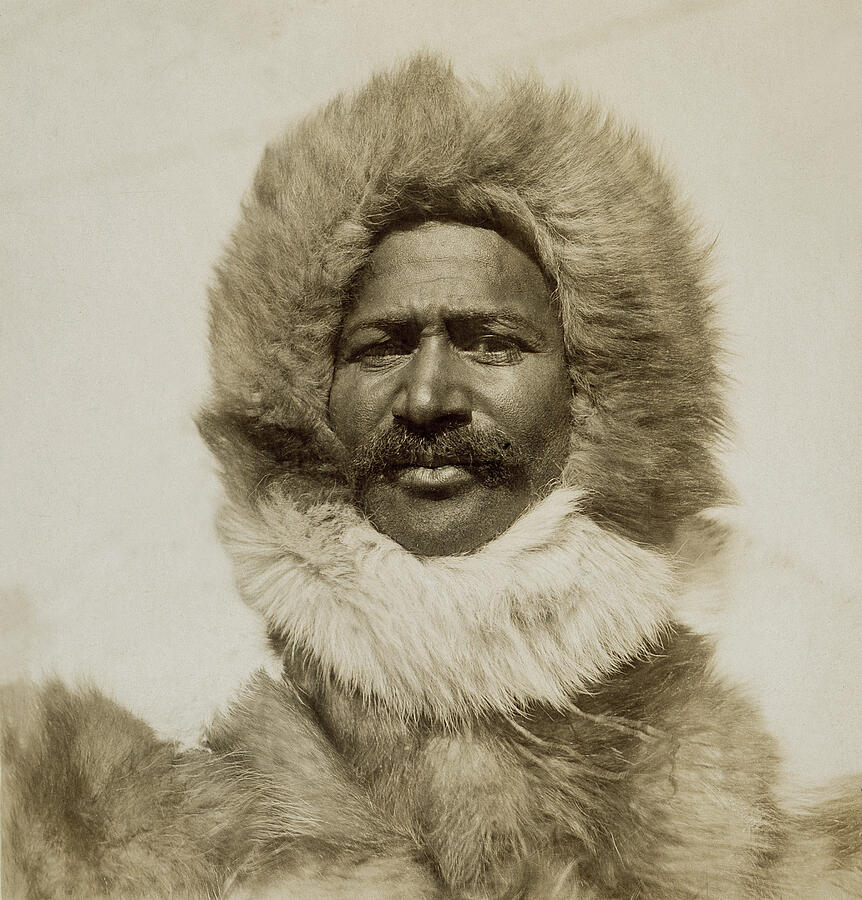 Matthew Henson (1866-1955) Photograph by Granger - Fine Art America