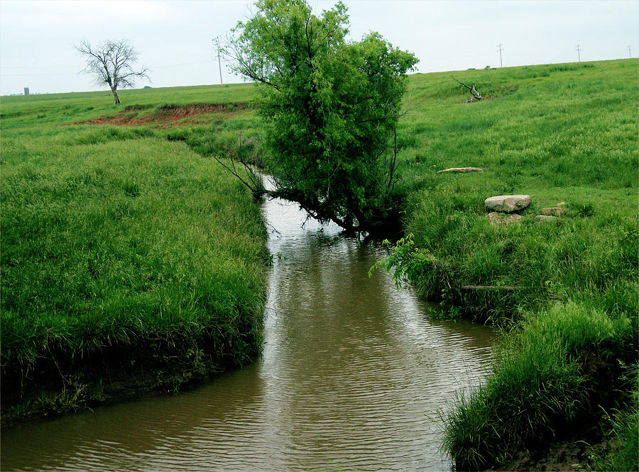 Landscape Photograph - Matthies creek by Janice Woodring
