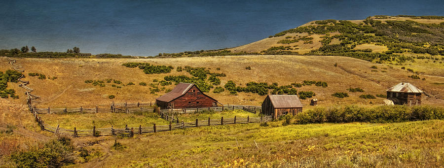 Matties Ranch Photograph by Priscilla Burgers