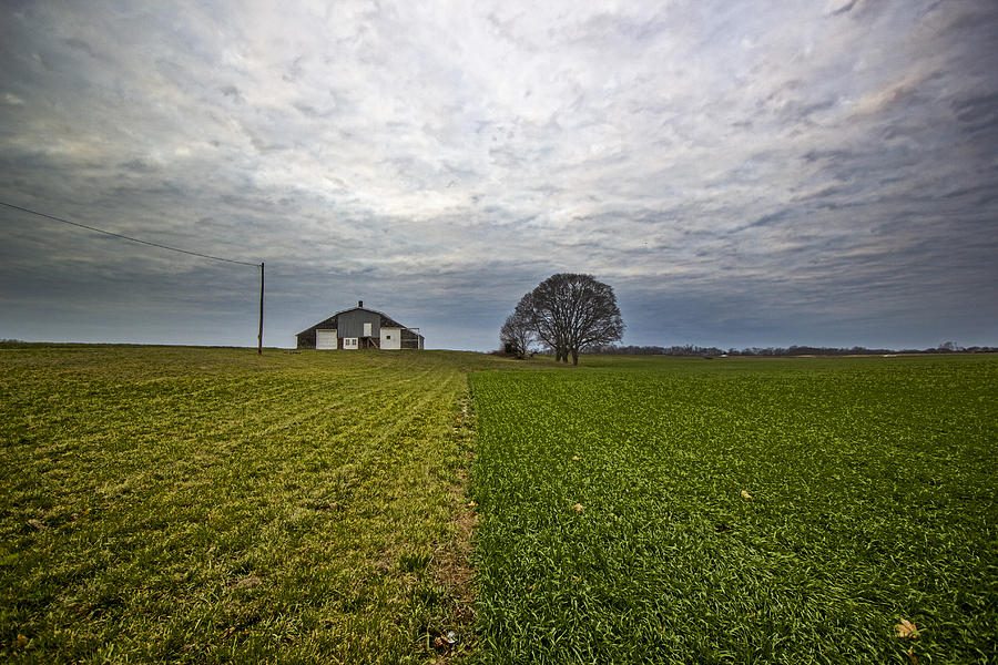 Mattituck Greener Pastures Photograph by Robert Seifert