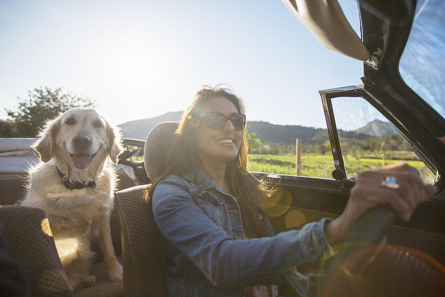 Mature woman and dog, in convertible car Photograph by Russ Rohde