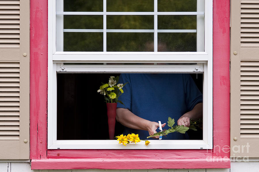 Mature Woman Cutting Flowers In Window Photograph by Jim Corwin