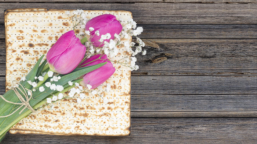 Matzah or matza on a white and tulip flowers on a vintage wood background with copy space. Photograph by Vlad Fishman