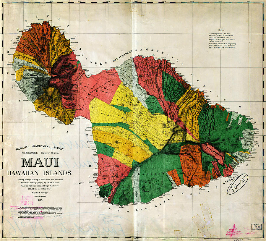 Maui Hawaii Drawing by MotionAge Designs