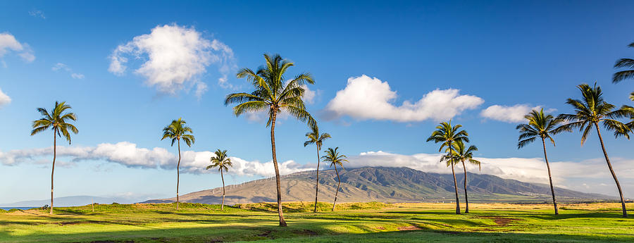 Maui Hawaii Photograph by Pierre Leclerc Photography