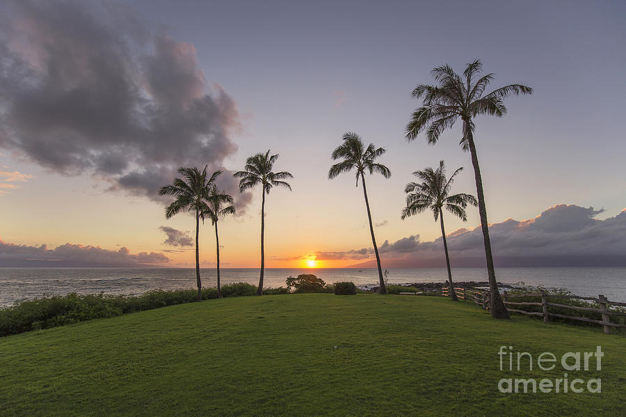 Nature Photograph - Maui Hawaii by Shishir Sathe