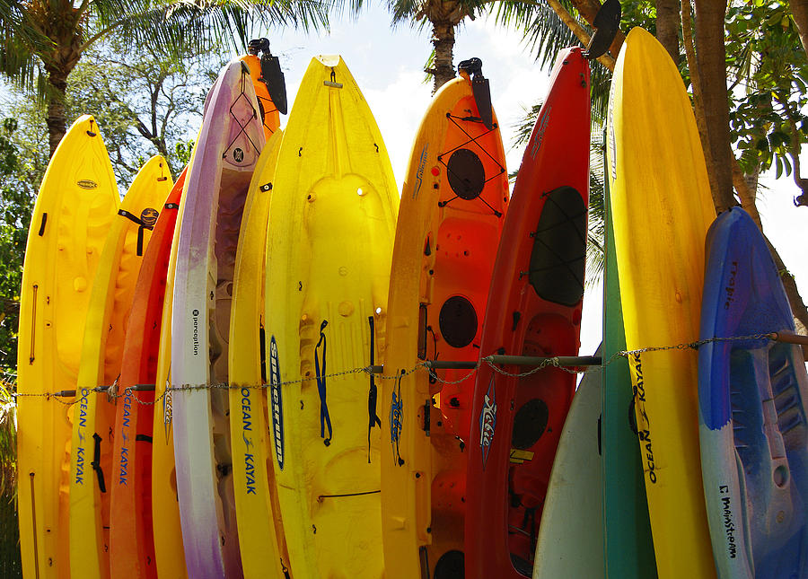 Maui Kayaks Photograph by Marilyn Wilson