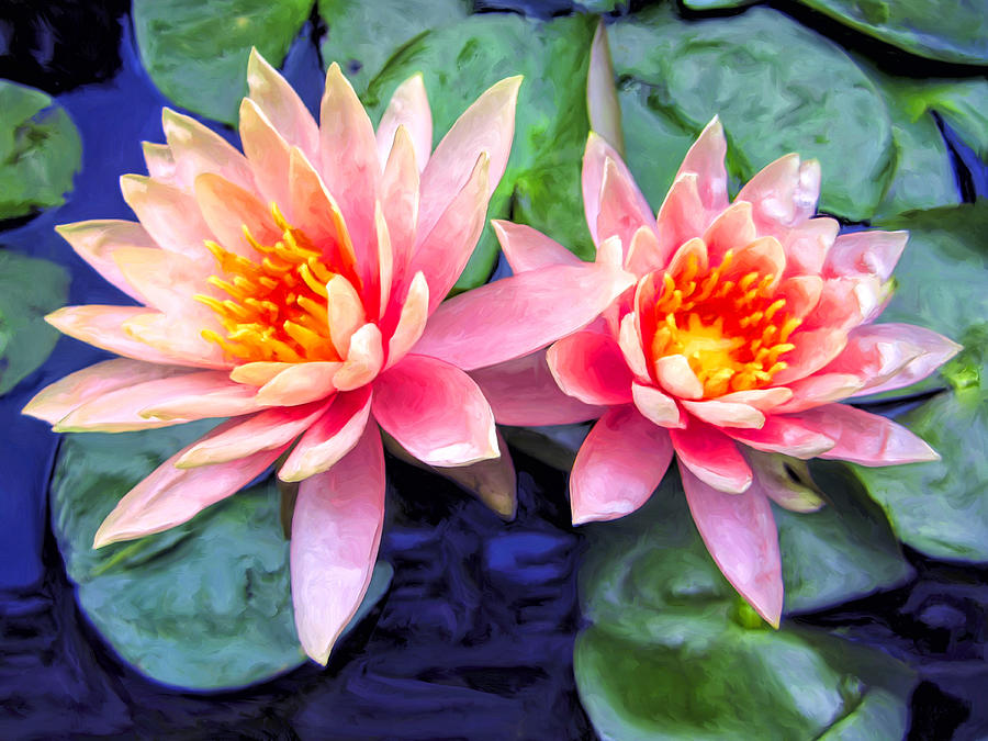 Maui Lotus Blossoms Painting by Dominic Piperata