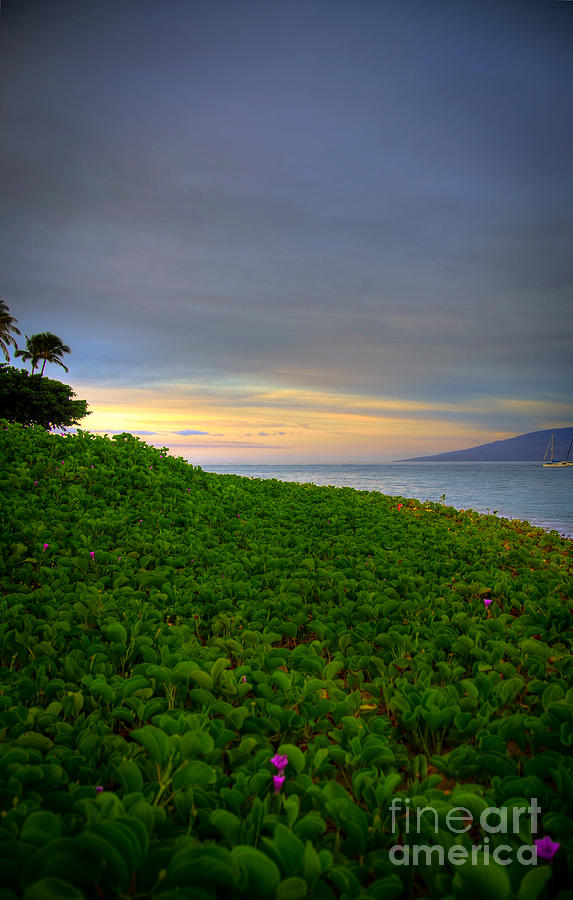 Maui Morning Photograph