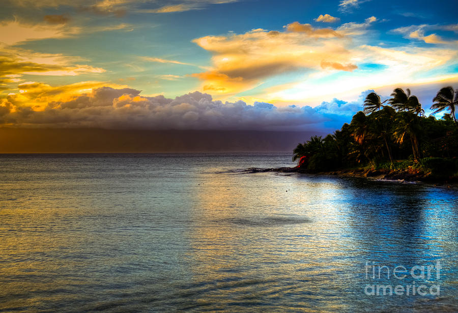Maui Palm Sunset Photograph by Kelly Wade