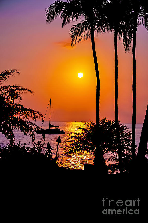 Maui Palms Sunset Photograph by Baywest Imaging