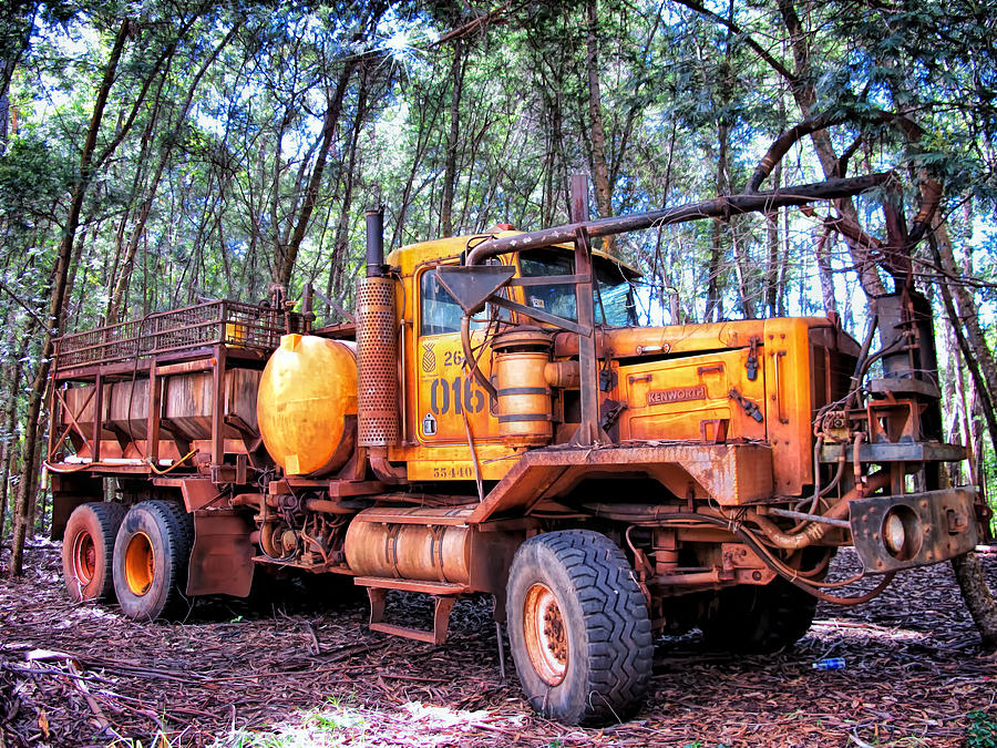 Maui Pine Truck 2 Photograph by Dawn Eshelman