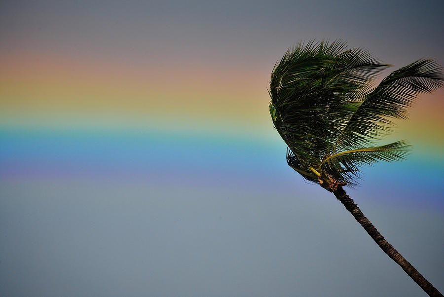Beach Photograph - Maui Rainbow by Donna Shahan