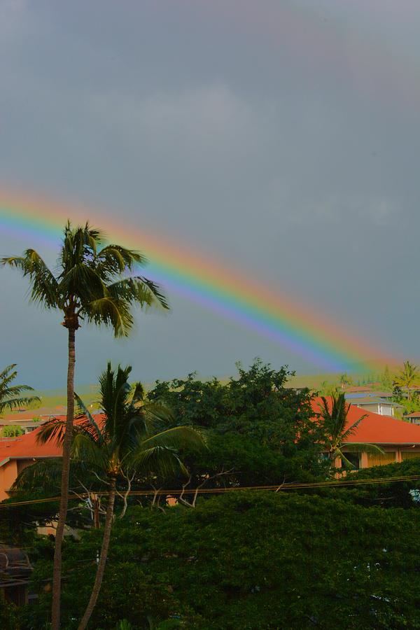 Maui RAinbow Photograph by Richard Jenkins | Fine Art America