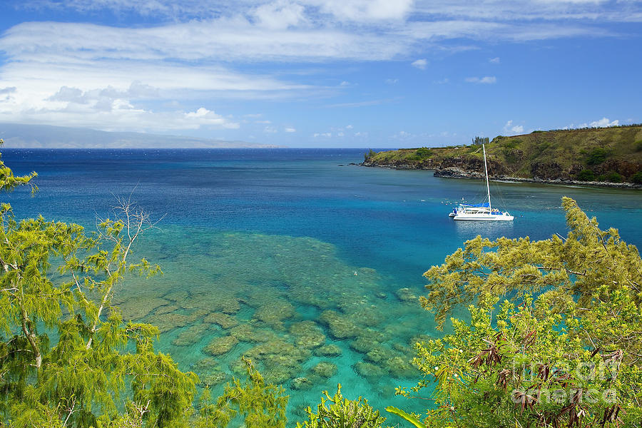 Maui Seascape and Catamaran Photograph by Kicka Witte