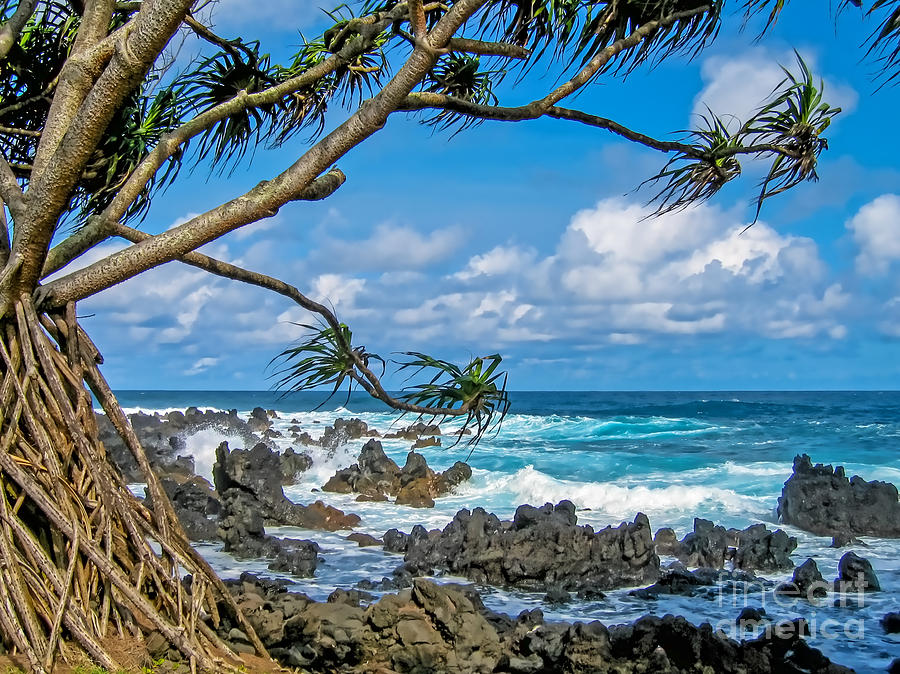Maui Shores Photograph by Baywest Imaging