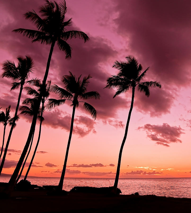 Maui Silhouette Sunset Photograph by Athena Mckinzie