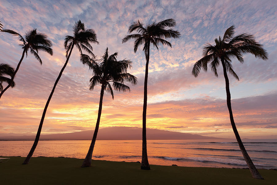 Maui Sunrise Photograph by David Olsen