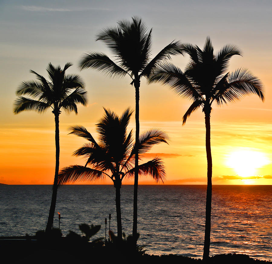 Maui Sunset Photograph by Athena Mckinzie