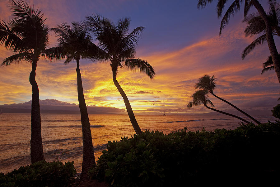 Maui Sunset Photograph by James Roemmling