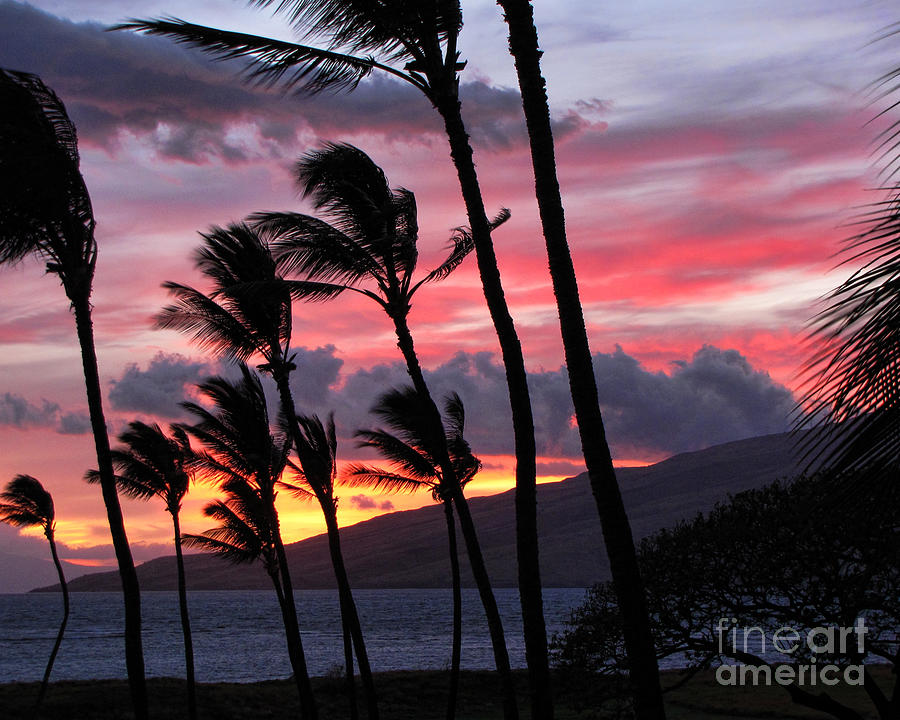 Maui sunset Photograph by Peggy Hughes