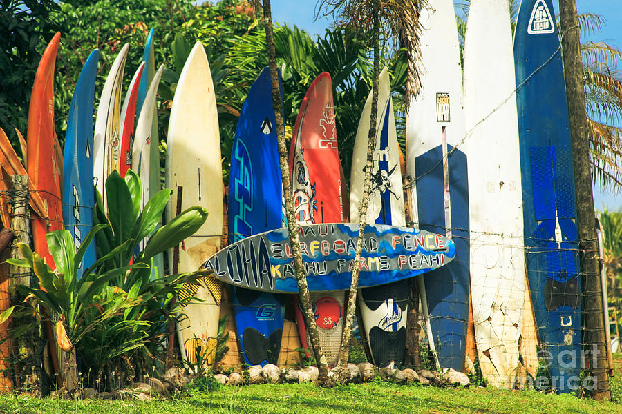 Maui Surfboard Fence - Peahi Hawaii Photograph by Sharon Mau