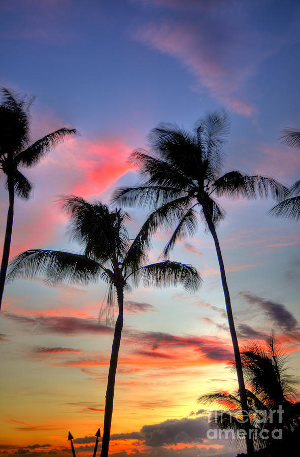 Maui Tropical Sunset  Photograph by Kelly Wade