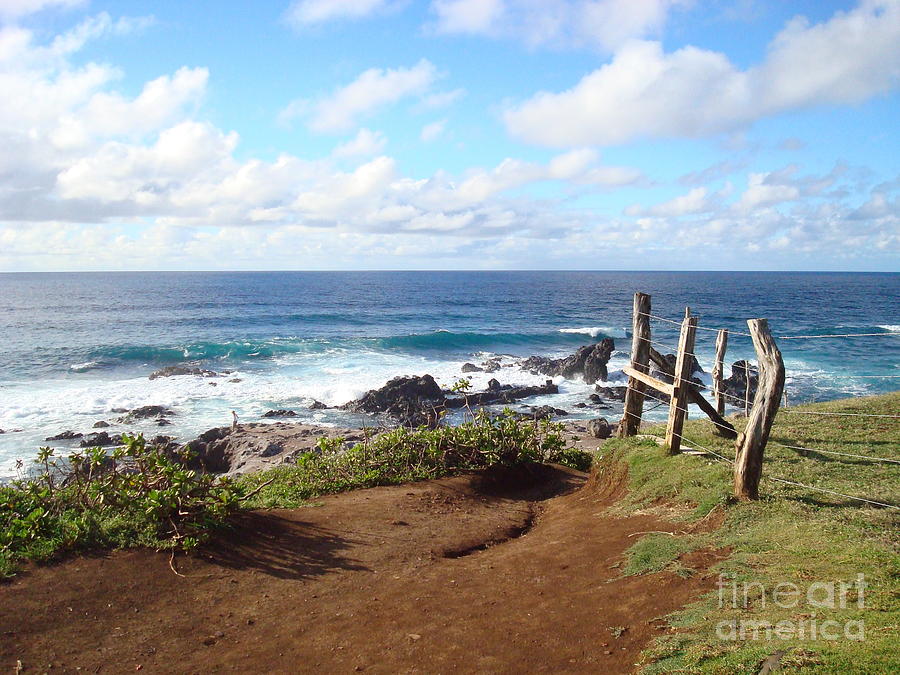 Maui Vista Photograph by B Rossitto