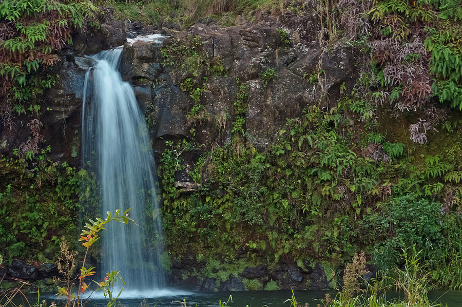 Maui waterfall off the road to Hana Photograph by Marek Poplawski