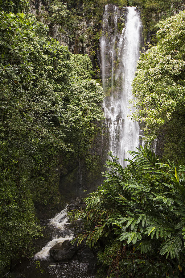 Maui Waterfall Photograph by Suanne Forster