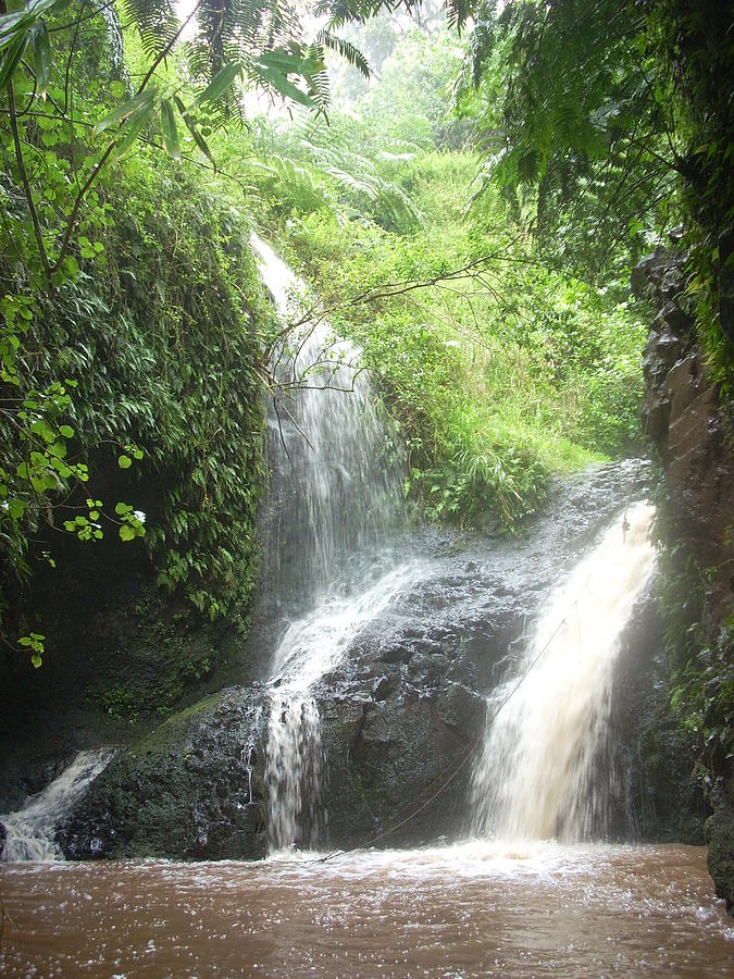 Maunawili Falls Photograph by Joey Johnson