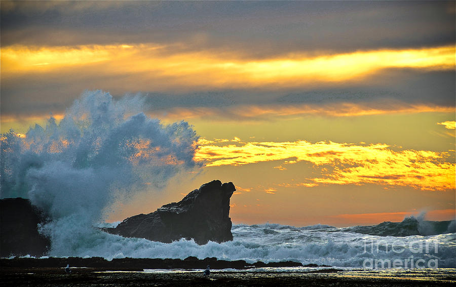 Sunset Photograph - Mavericks - Princeton By The Sea by Amy Fearn
