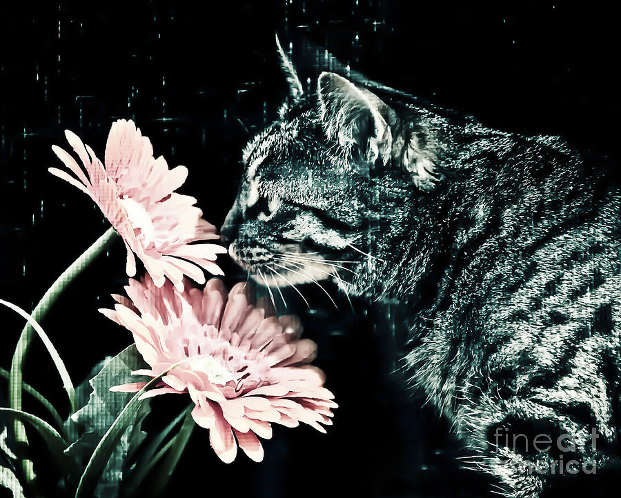 Mavis and the Flower Photograph by Lori Frostad