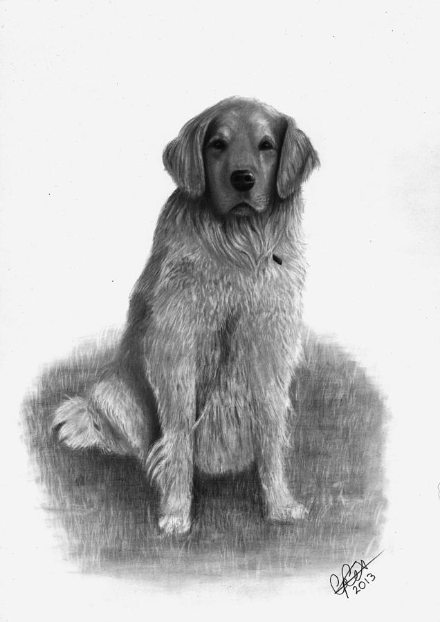 Max Drawing by Chris Cox - Fine Art America