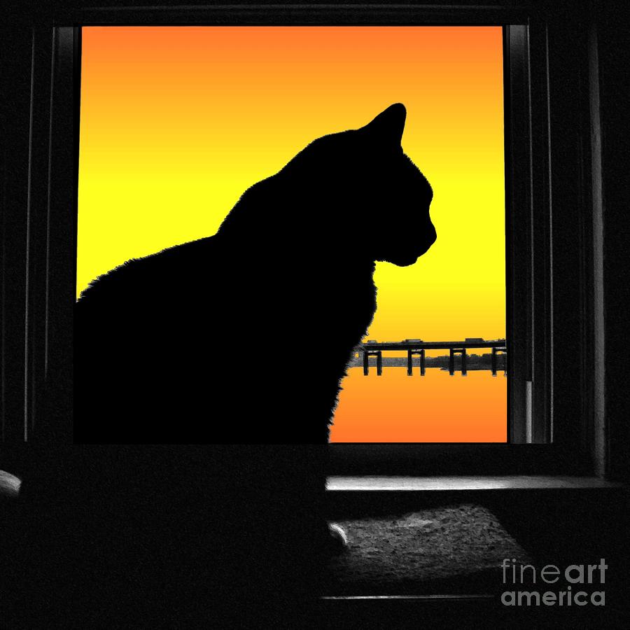 Max Silhouette With Sunset Digital Art by Dale   Ford