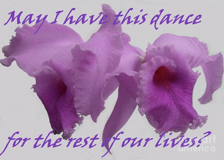 Orchid Photograph - May I Have This Dance by Barbie Corbett-Newmin
