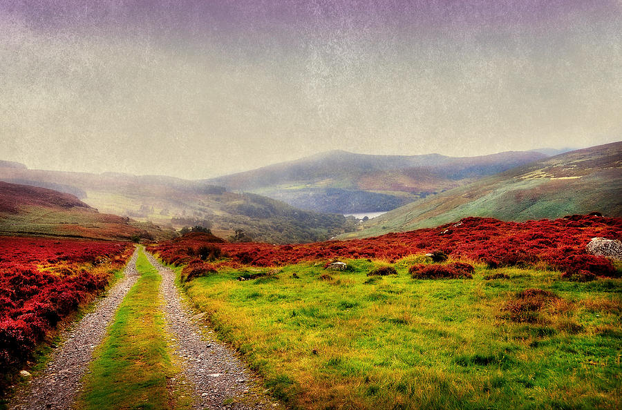 Mountain Photograph - May it Be Your Journey On. Wicklow Mountains. Ireland by Jenny Rainbow