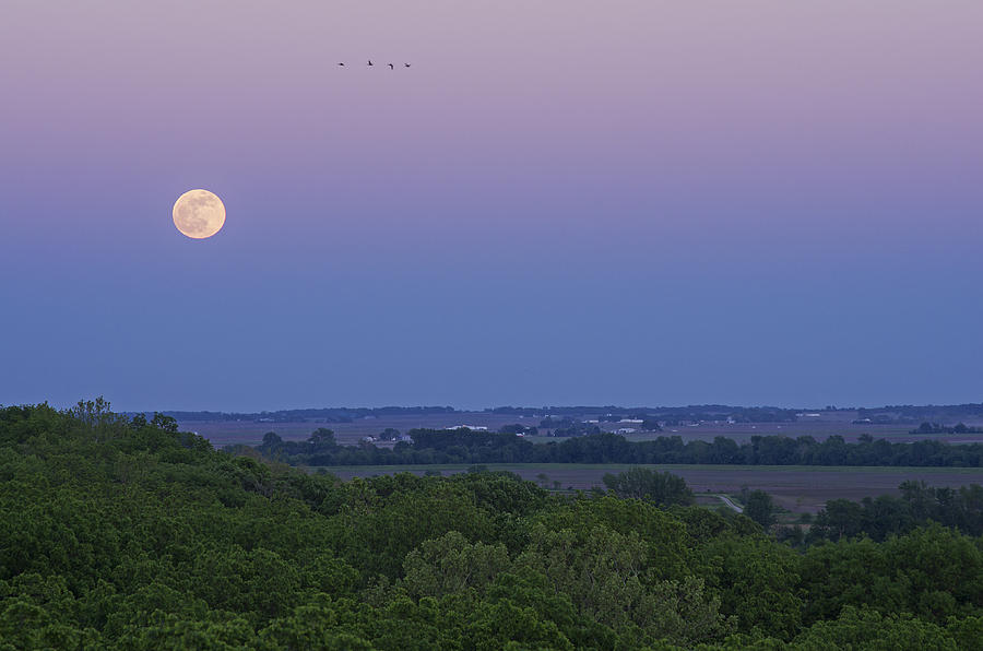 May Moonrise Photograph by Kevin Palmer Fine Art America