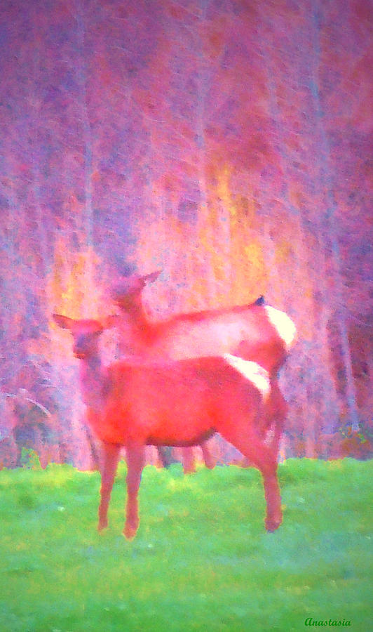 May Morning Meadow Elk With Magpie 3 Photograph by Anastasia Savage Ealy