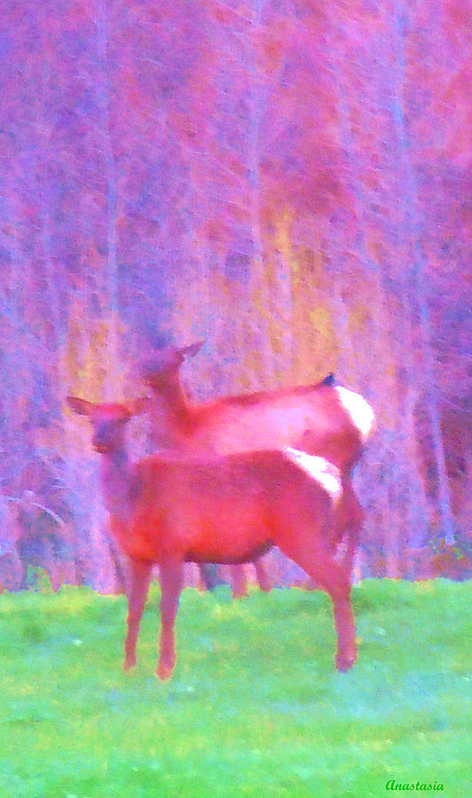 May Morning Meadow Elk With Magpie II Photograph by Anastasia Savage Ealy